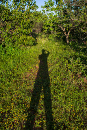 The shadow is silent, it knows everything.の写真素材