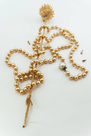 collar surrounding a flowerの写真素材