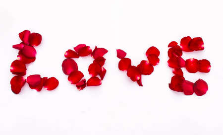 a red rose loveの写真素材