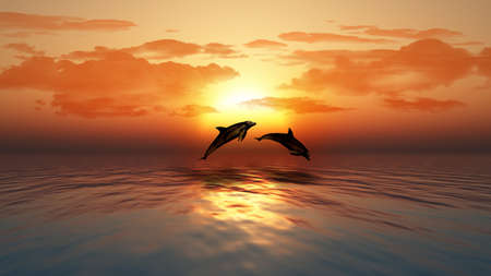 3D render of a sunset over an ocean with dolphins jumpingの写真素材