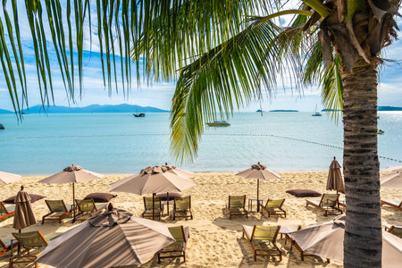 Beautiful tropical beach sea and ocean with coconut palm tree and umbrella and chair on blue sky and...