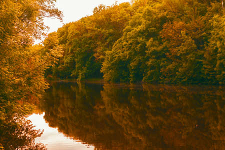 Photo of beautiful autumn landscape with lake and trees during sunsetの写真素材