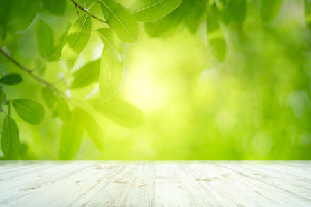Fresh green leaves nature with bokeh on empty wooden table background for product display template...
