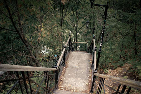 Metal and wooden stairs descending down the forest through the trees in Kyivの写真素材