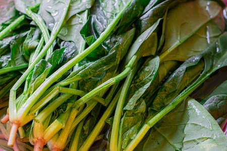 Green bunch of arugula plant vegan food