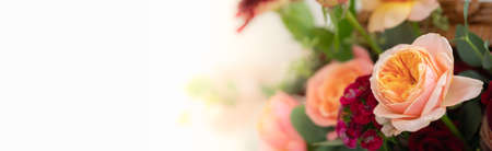 Nature of flower in garden using as cover page background natural flora wallpaper or template brochure landing page designの写真素材