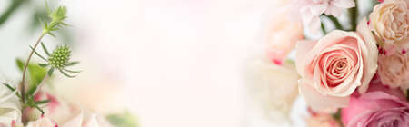 Nature of flower in garden using as cover page background natural flora wallpaper or template brochure landing page designの写真素材