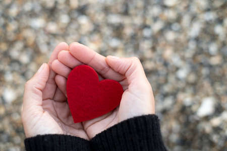 red heart between the hands of a woman on a background of beach stones.concept of san valentin