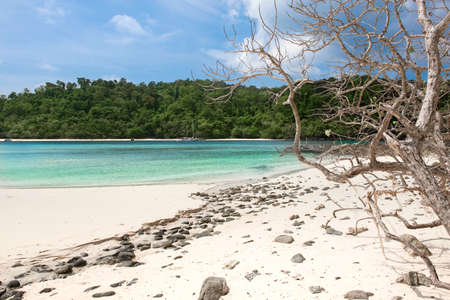 Small rocks scattered on beach sand close up. Summer holiday beach background.の写真素材