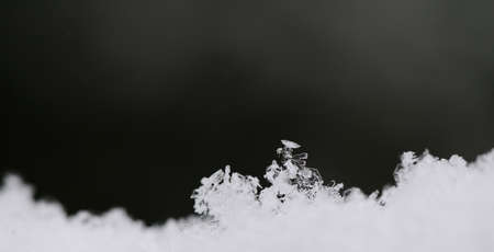 delicate white snow crystals fused panoramaの写真素材