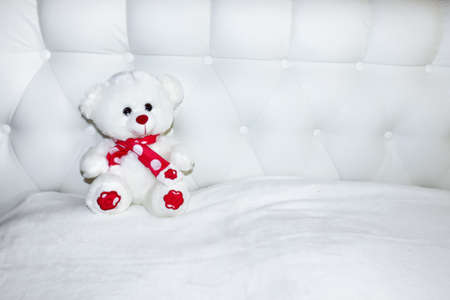 Teddy bear on a light backgroundの写真素材