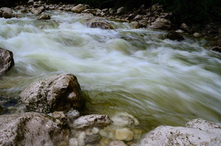 wild pure water in a mountain stream