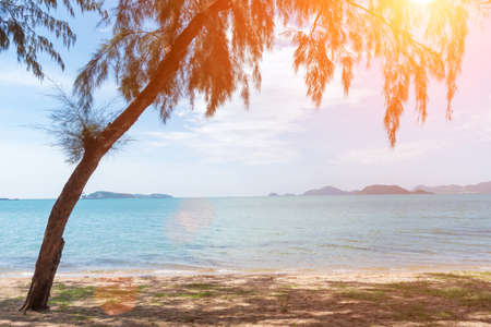 Tropical beach with tree and sunlight. Holiday and Relax conceptの写真素材