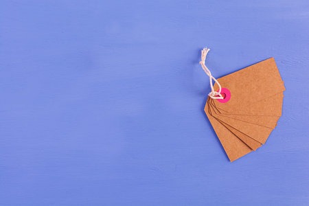 Blank label tag isolated on blue background. Price tag. Sale concept.