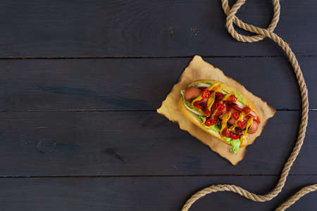 Delicious homemade hot dog on dark background
