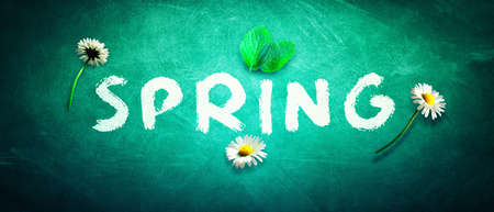 SPRING decorative inscription with letters. Creative spring concept.