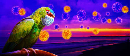 Corona virus outbreak. Travel at pandemic time conceptの写真素材