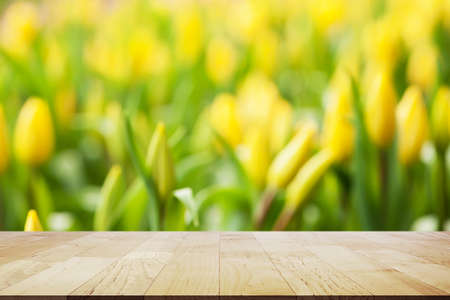 Empty wooden table top on Beautiful spring tulips with copy space on Wood