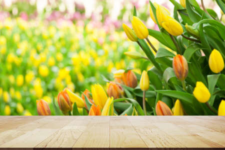 Empty wooden table top on Beautiful spring tulips with copy space on Woodの写真素材