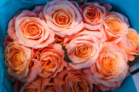 Pink beautiful rose wrapped in paper on sale at flower market, present gift on Valentine's day.の写真素材