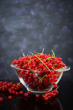 Red currant on dark background