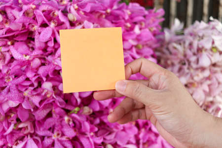 Blank note paper in hand on beautiful purple pink orchid flower bouquet background, copy-space on...