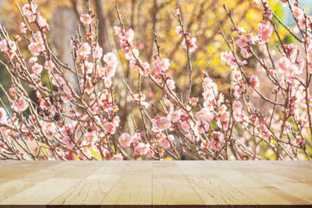 wood shelf for cherry bossom product on blur cherry bossom for Backgroundの写真素材