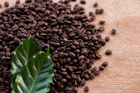 Close up coffee beans and fresh green leaf on grunge wooden background with copy spaceの写真素材