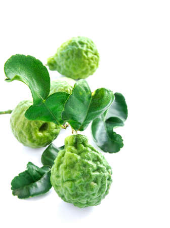 Close up image of bergamot on white backgroundの写真素材