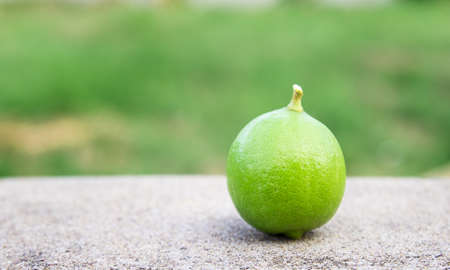 Close up fresh green lemon on the floorの写真素材