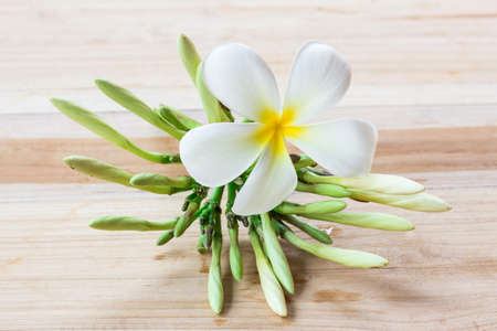 Fresh frangipani flower on wooden table backgroundの写真素材