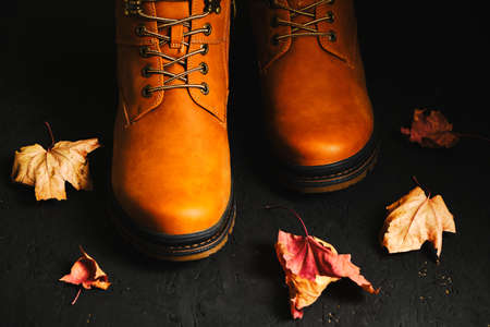 Brown autumn boots on a black background with scattered maple leavesの写真素材