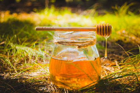 Spoon for honey and jar with fresh honey on summer green glade.Healthy food.の写真素材