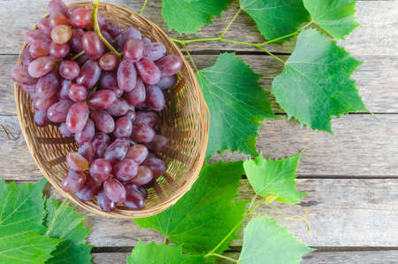 Dark grapes in a basket on a background of old boards and green foliageの写真素材
