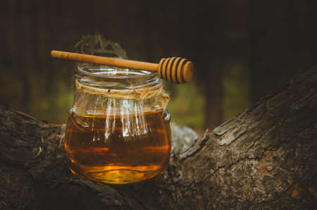 Jar of fresh honey and honey spoon on pine tree in woods.Healthy food.の写真素材