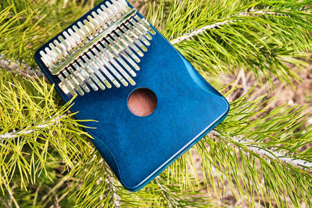 Kalimba musical instrument on the background of green pine needlesの写真素材