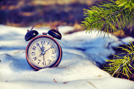 Old retro alarm clock in the snow in the forest with Sunny bunniesの写真素材