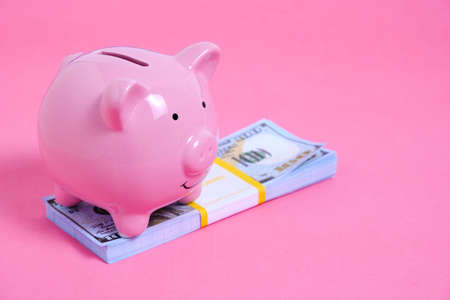 Pink Piggy Bank and a Stack of Hundred Dollar Bills on a Pink Background.の写真素材