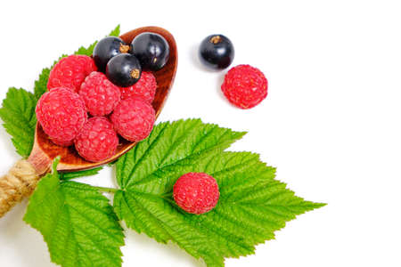 Raspberry and blackcurrant berries on a white background with green foliageの写真素材