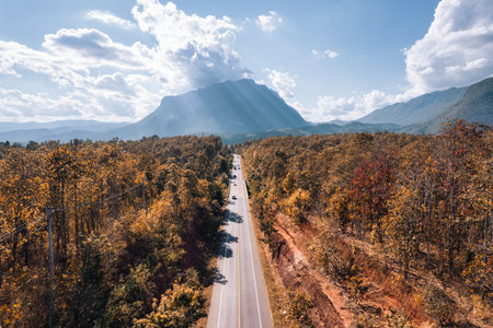 Aerial view of Doi Luang Chiang Dao mountain with straight road among autumn forest on bright day at Chiang Dao, Chiang Mai, Thailandの素材 [FY310190707931]