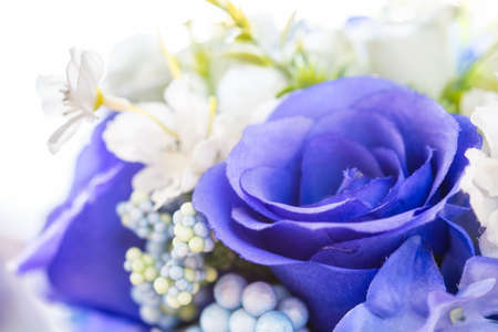 Blue roses in white flowers bouquet for valentine backgroundの写真素材