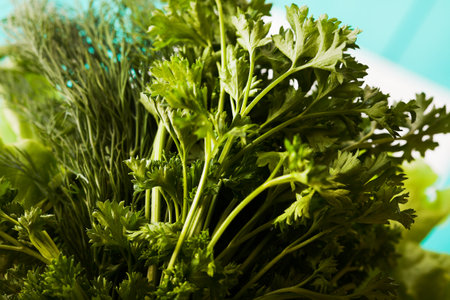 Parsley and recipe paper on blue wooden kitchen table. Top view and selective focusの写真素材