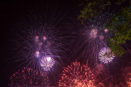 A beautiful view of the fireworks and the smoke in the sky above the trees with the night lights in...