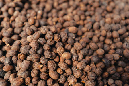 house for drying coffee, natural coffee beans are dried in the greenhouse.Parchment coffee