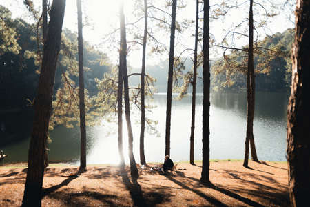 Camping and coffee at Pang Ung in the morning, coffee in the morning under the trees and by the...