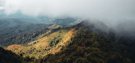 on the mountain during the day,tree on the mountainの写真素材