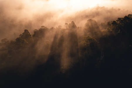 Mountains and trees at a rural village,in the morningの写真素材