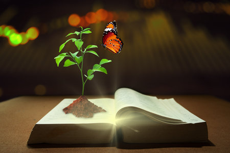 Young plant of knowledge with soil planting and butterfly on opening old book with Magic shine. Gaining Knowledge, Learning new, and Increase Wisdom Concept.の写真素材