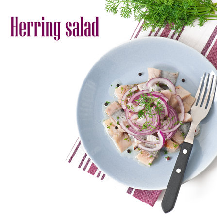 Herring salad with onionの写真素材