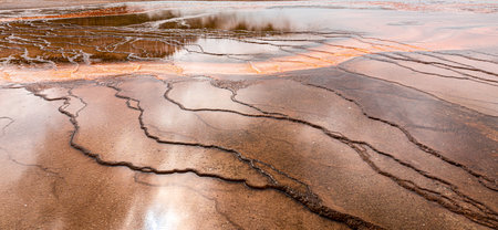 Landscape of orange swam area with natural texture on land surface inside the famous Grand Prismatic...